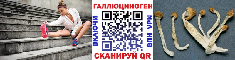 Галлюциногенные грибы Cubensis  мега   Подпорожье 
